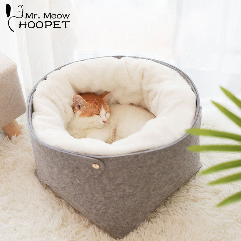 kitten bed